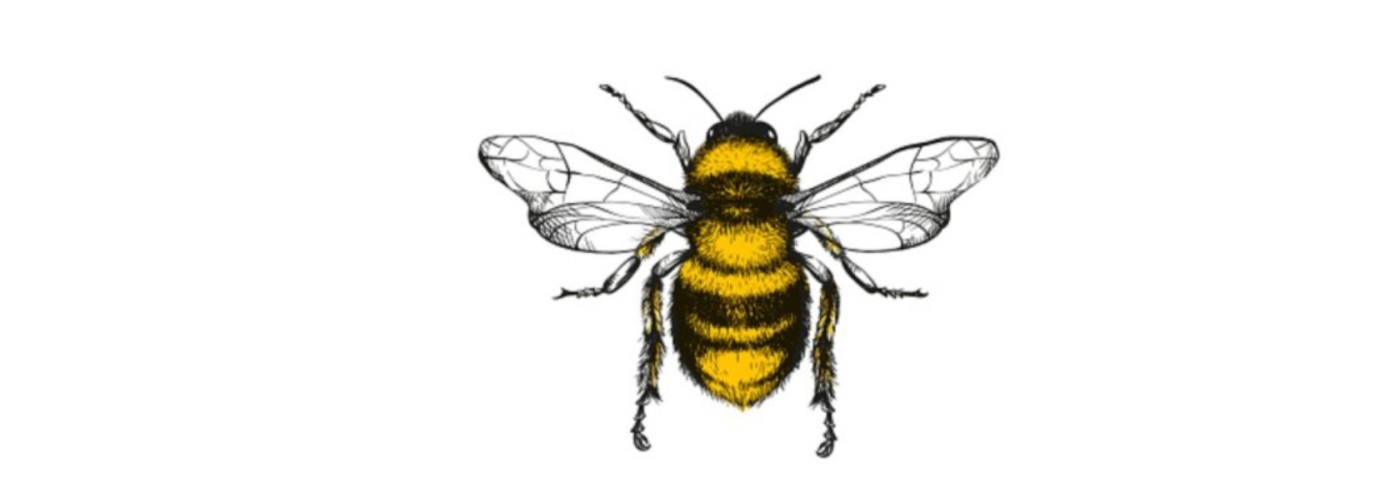 Honey Class - Year 1